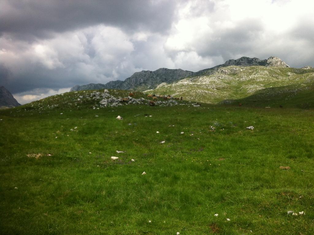 Boskovica Brvnare Vendégház Žabljak Kültér fotó