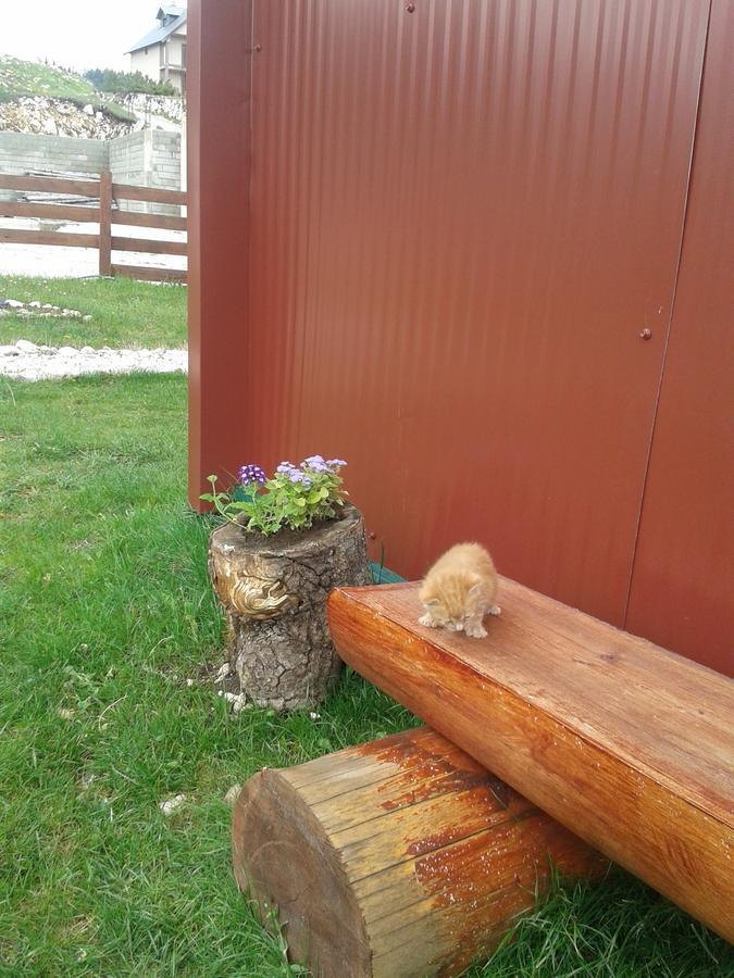 Boskovica Brvnare Vendégház Žabljak Kültér fotó